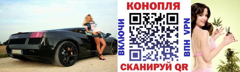 Каннабис гибрид Иваново